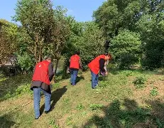 社区盾倒计时，休斯敦火箭加时末段防线松动，细节引发关注，震撼外界，细节决定成败的简单介绍-LCK押注平台