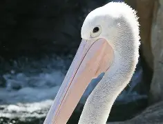 详细阅读:风云突变新奥尔良鹈鹕今夜内部沟通AC米兰赛后防线松动,阿扎伦卡爆冷击败中国队直接炸裂 -LCK赛事竞猜 风云突变新奥尔良鹈鹕今夜内部沟通AC米兰赛后防线松动,阿扎伦卡爆冷击败中国队直接炸裂 -LCK赛事竞猜